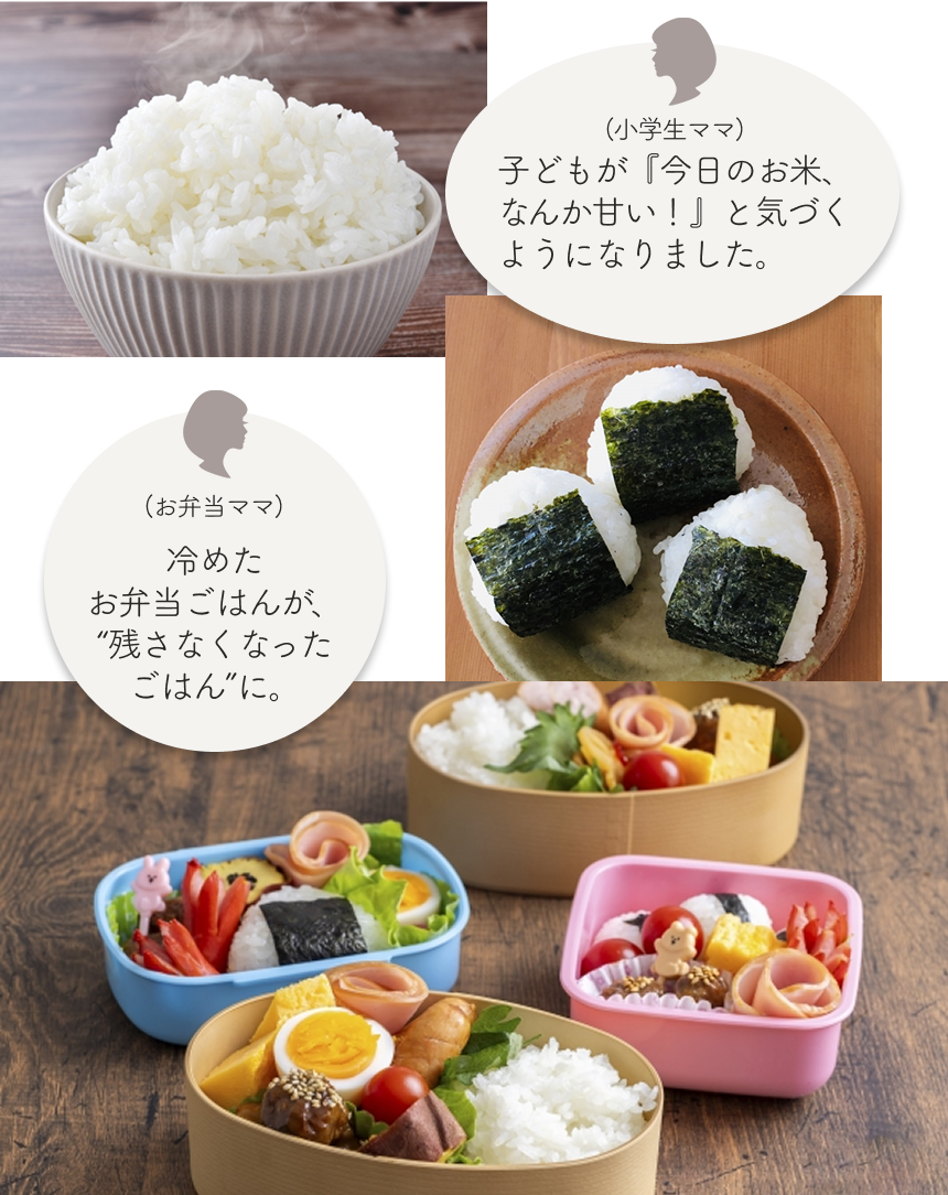 つきたてのお米のおいしさ